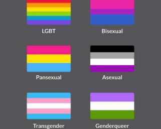 Am I gay/lesbian, bi, ace/demi, straight or pan?